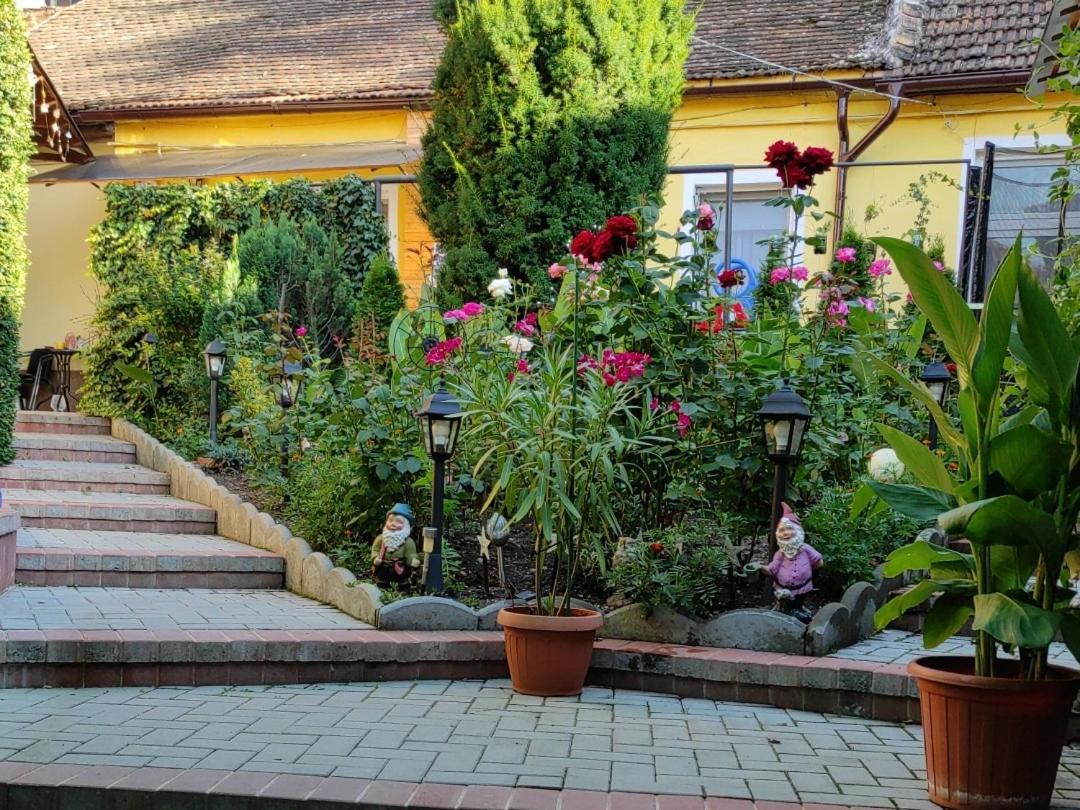 Color Home Hermannstadt Bagian luar foto